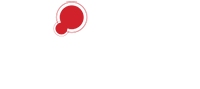 Practical Engineering Logo 200px Capabilities - Practical Engineering - https://pracengstg.vesanique.com/capabilities/